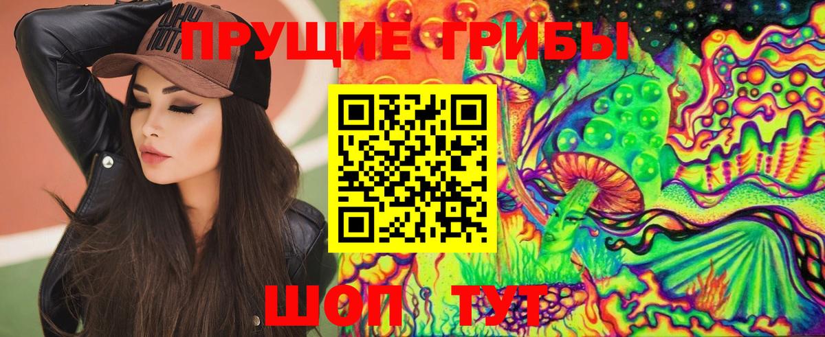 Псилоцибиновые грибы Psilocybine cubensis  Вход с VPN  Волжск 