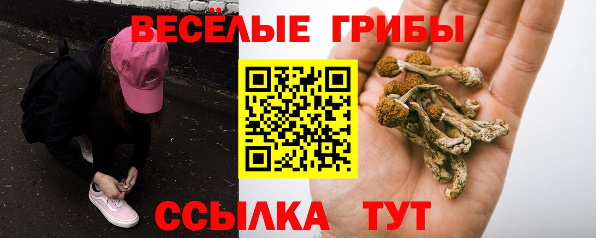 Галлюциногенные грибы Cubensis Волжск